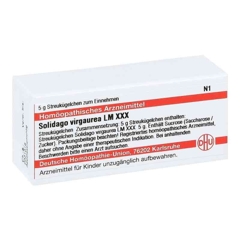 Lm Solidago Virgaur. Xxx Globuli 5 g von DHU-Arzneimittel GmbH & Co. KG PZN 04509189