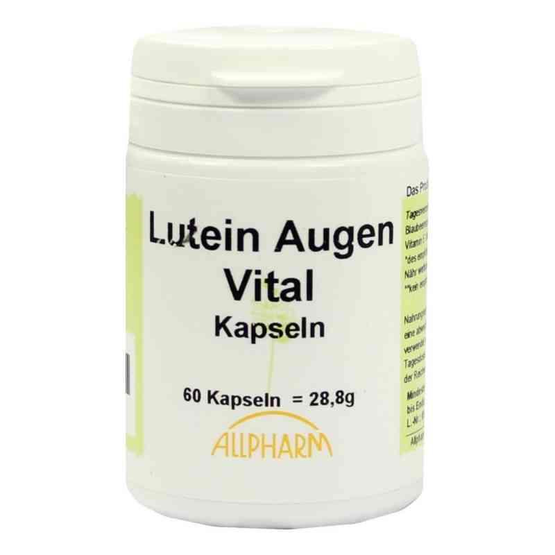 Lutein Kapseln 6 mg 60 stk von Karl Minck Naturheilmittel PZN 03928719