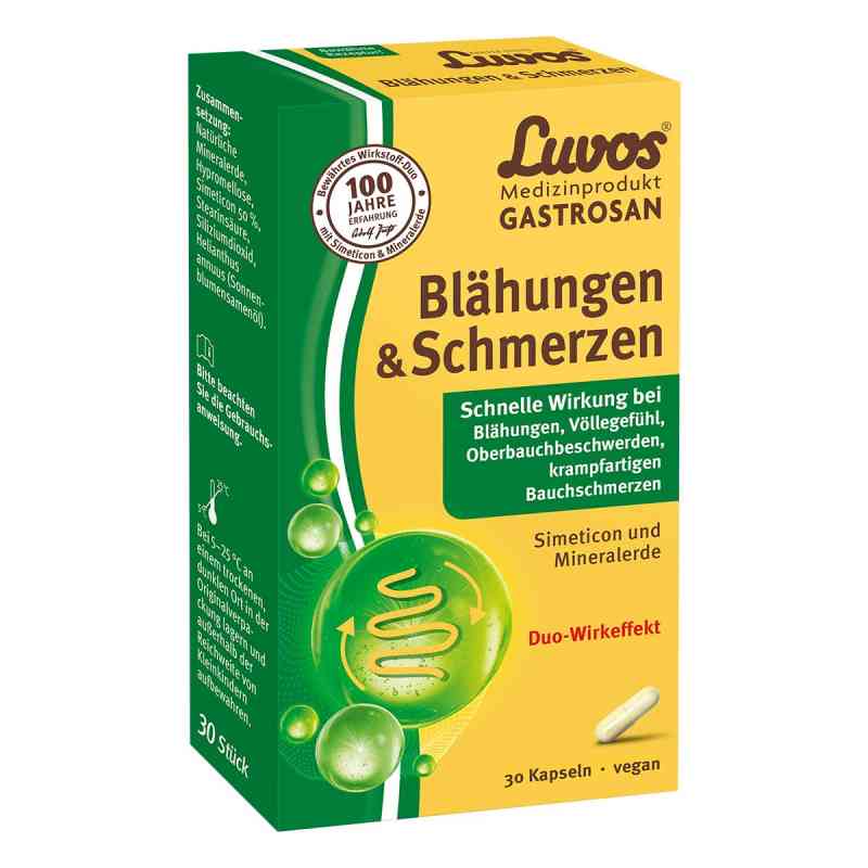 Luvos® Gastrosan Blähungen & Schmerzen Kapseln 30 stk von Heilerde-Gesellschaft Luvos Just GmbH & Co. KG PZN 19815940