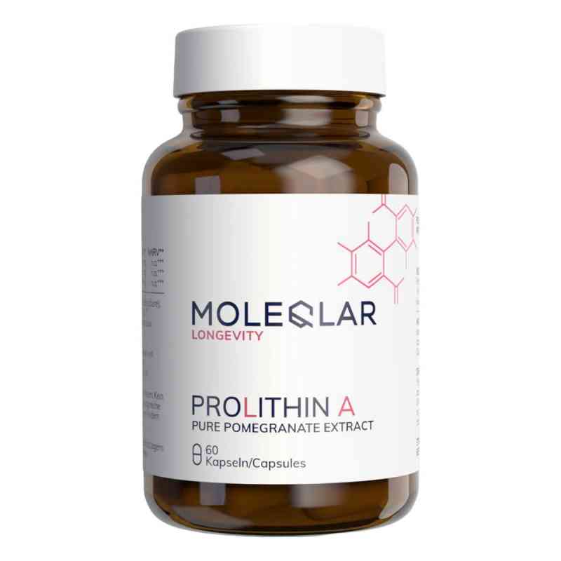 Moleqlar Prolithin A Kapseln (Urolithin A Vorläufer) 60 stk von MoleQlar GmbH PZN 20584316