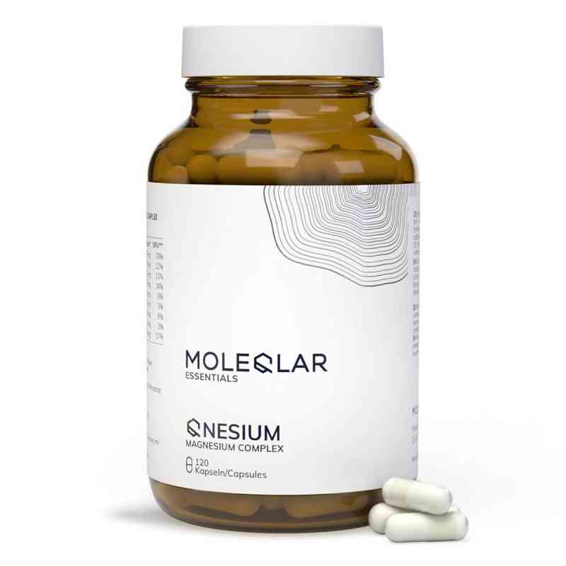 Moleqlar Qnesium Magnesium Complex Kapseln 120 stk von MoleQlar GmbH PZN 19790795