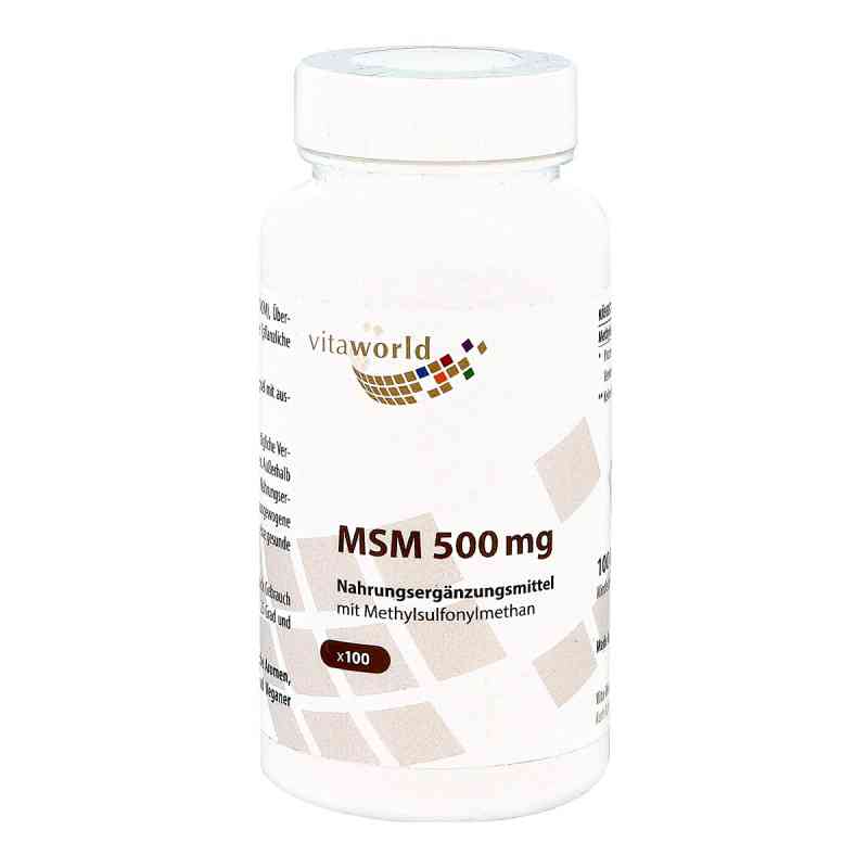 Msm Kapseln 100 stk von Vita World GmbH PZN 07611468