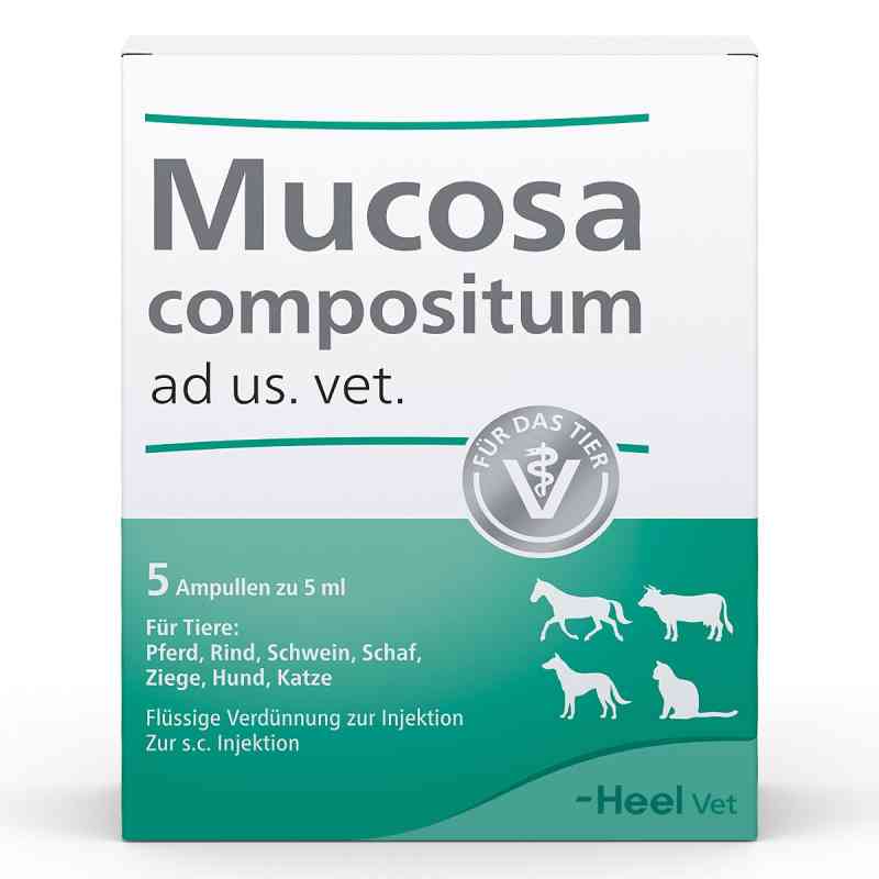 Mucosa Compositum Ampullen veterinär 5X5 ml von Biologische Heilmittel Heel GmbH PZN 04871335