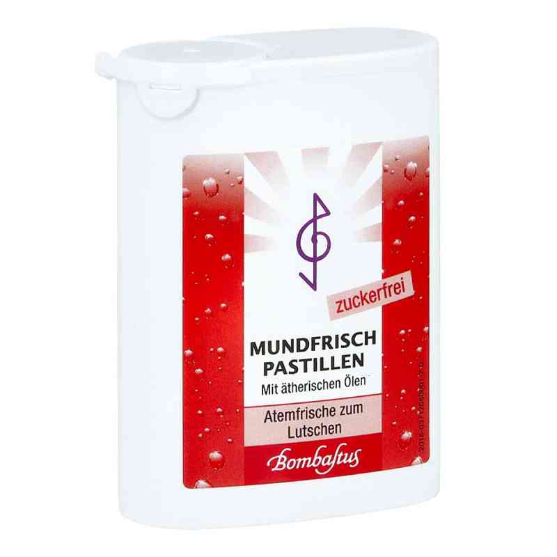 Mundfrisch Pastillen zuckerfrei 35 g von Bombastus-Werke AG PZN 14232731