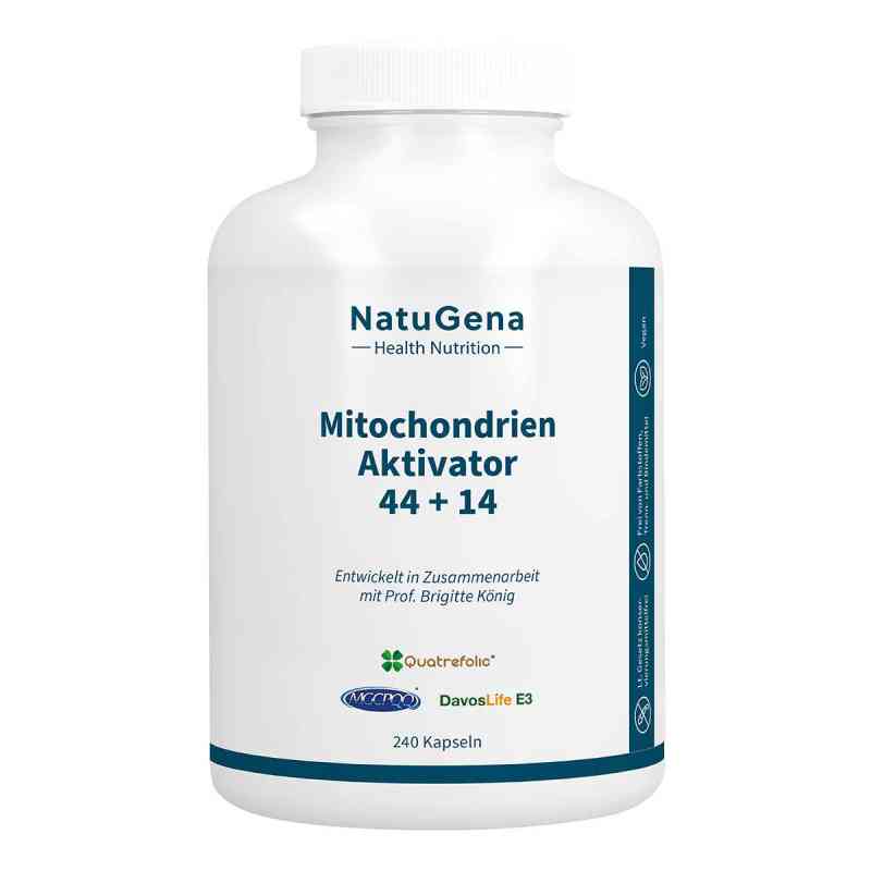 NatuGena MitochondrienAktivator 44+14 Kapseln 240 stk von NatuGena GmbH PZN 19205006