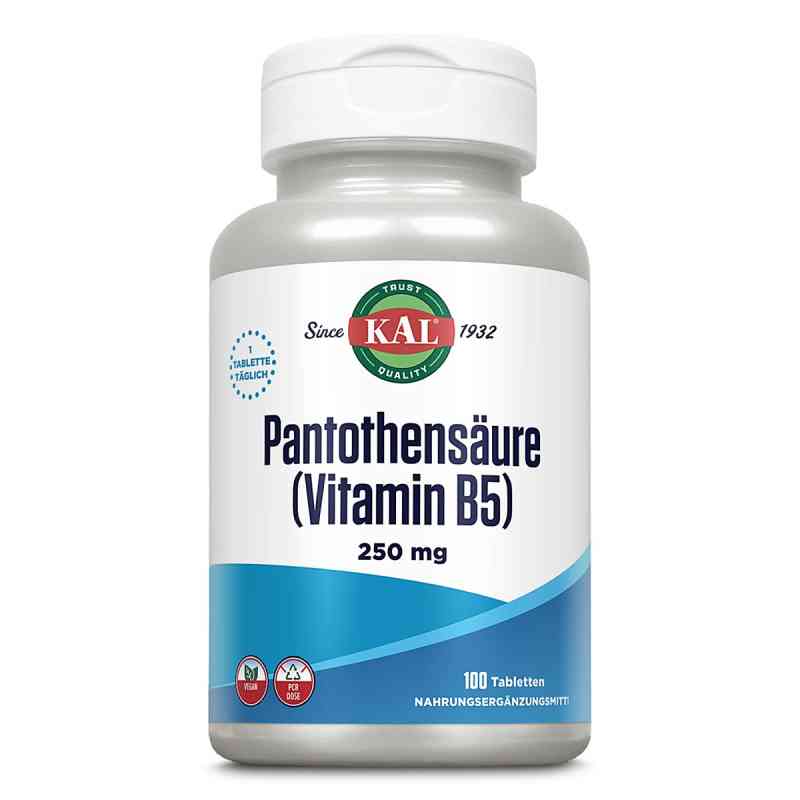 Pantothensäure Vitamin B5 250 mg Tabletten 100 stk von Supplementa GmbH PZN 13895139