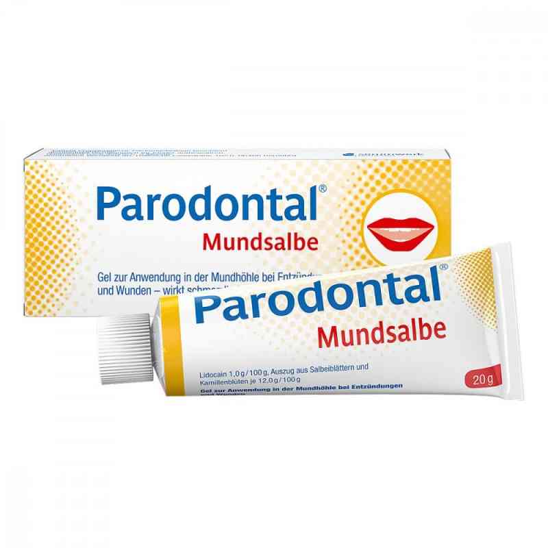 Parodontal Mundsalbe 20 g von Serumwerk Bernburg AG PZN 04384859