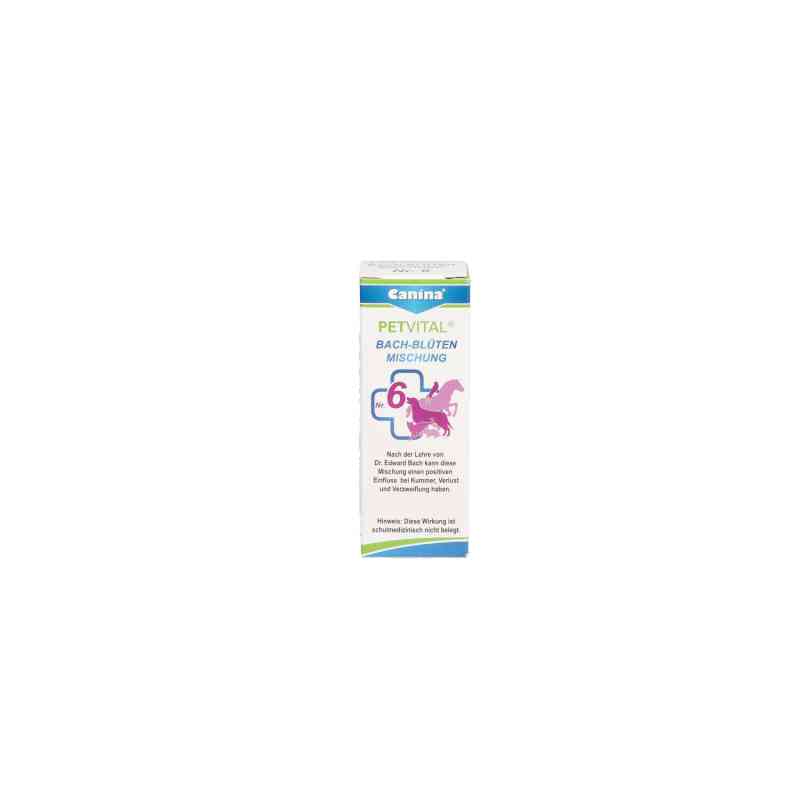 Petvital Bachblüten Nummer 6 Globuli veterinär 10 g von Canina pharma GmbH PZN 10528601