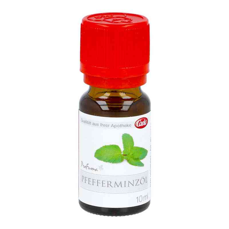 Pfefferminz öl Profuma Caelo Hv-packung 10 ml von Caesar & Loretz GmbH PZN 09198481