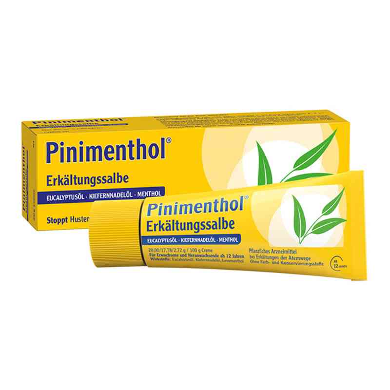 Pinimenthol Erkältungssalbe 20 g von Dr.Willmar Schwabe GmbH & Co.KG PZN 03745284