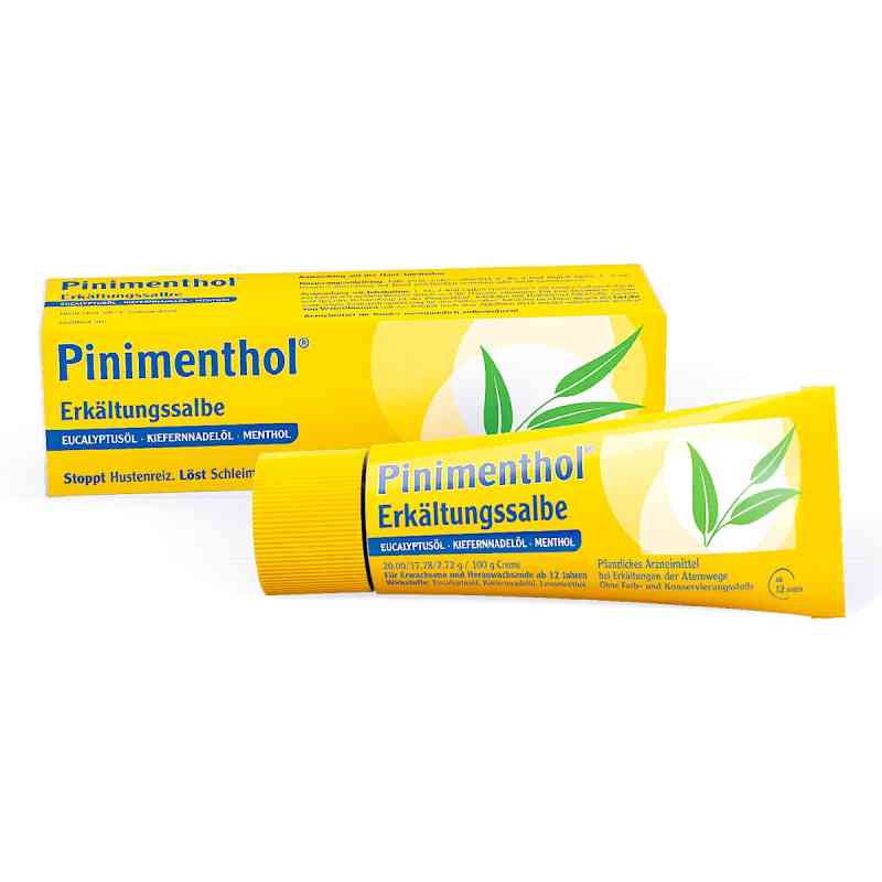 Pinimenthol Erkältungssalbe 20 g von Dr.Willmar Schwabe GmbH & Co.KG PZN 03745284