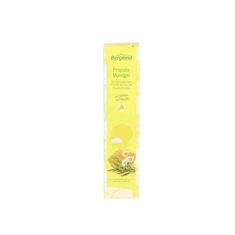 Propolis Mundgel 13.5 ml von Bergland GmbH PZN 13166943