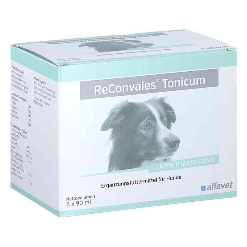Reconvales Tonicum für Hunde 6X90 ml von alfavet Tierarzneimittel GmbH PZN 10172624