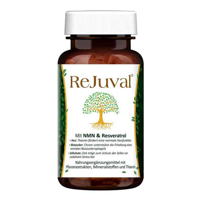 Rejuval Mit Nmn Resveratrol Egcg Anti-aging Kapsel (n) 60 stk von HCLM Health GmbH PZN 17293130
