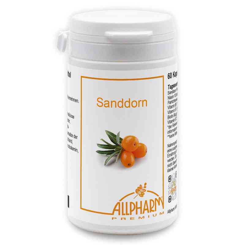 Sanddorn Allpharm Premium Kapseln 60 stk von ALLPHARM Vertriebs GmbH PZN 13839158