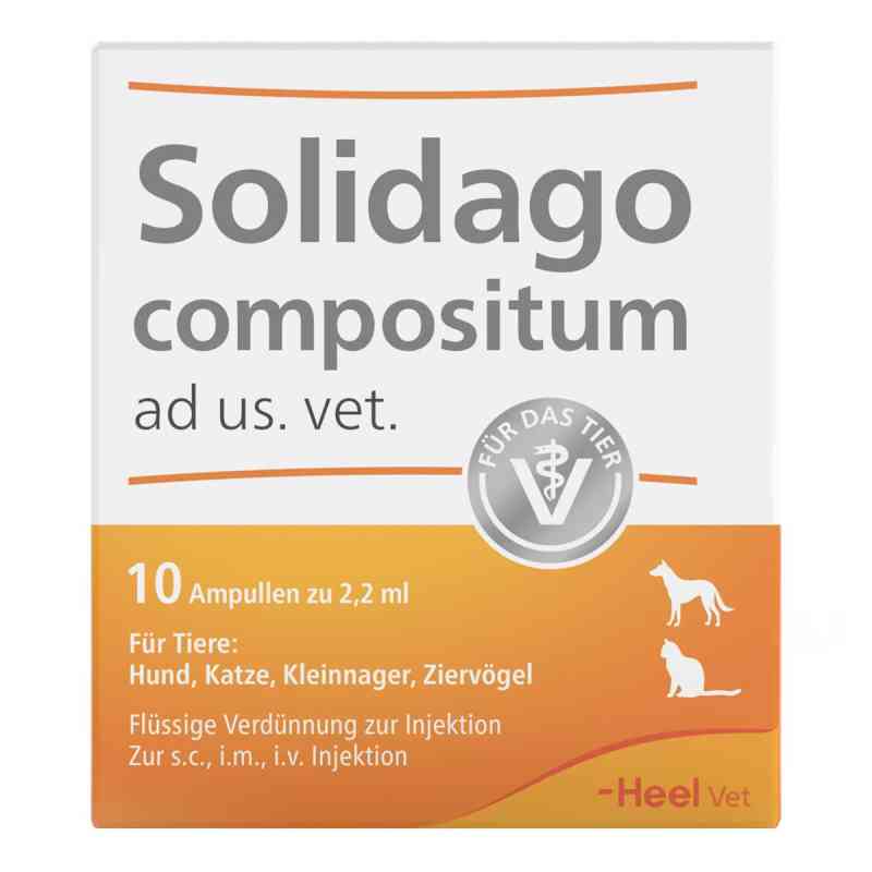 Solidago Compositum Ampullen ad usus veterinär 10 stk von Biologische Heilmittel Heel GmbH PZN 01219864