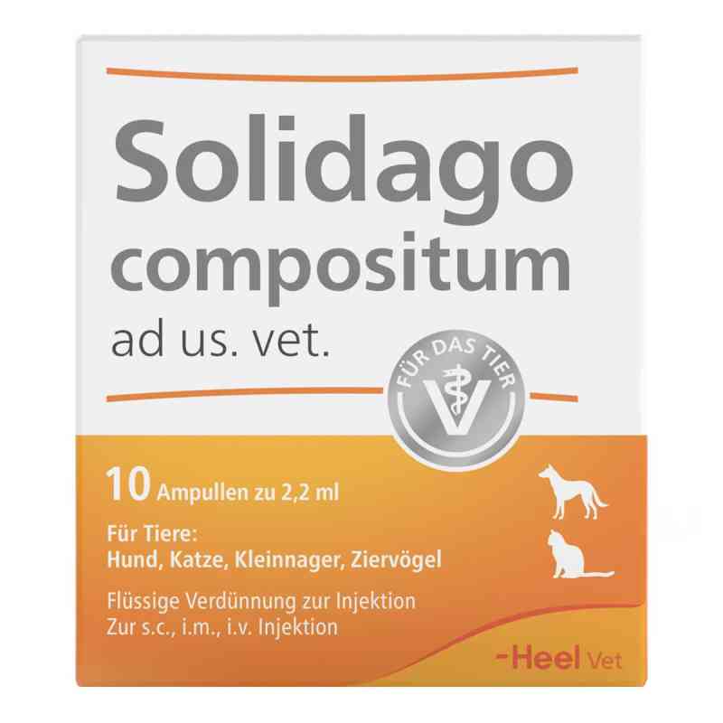 Solidago Compositum Ampullen veterinär 10 stk von Biologische Heilmittel Heel GmbH PZN 01219864
