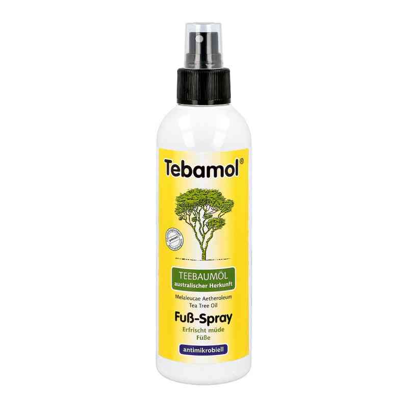 Teebaum öl Fussspray 200 ml von DERMAPHARM AG PZN 07356013
