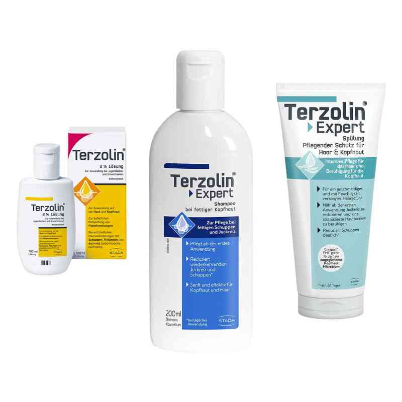 Terzolin 2% Lösung + Expert Shampoo fettige Kopfhaut + Spülung 1 Set von STADA Consumer Health Deutschland GmbH PZN 08103207