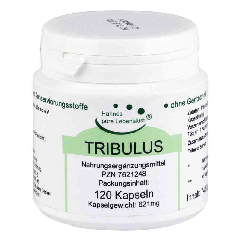 Tribulus Kapseln 120 stk von G & M Naturwaren Import GmbH & Co. KG PZN 07621248