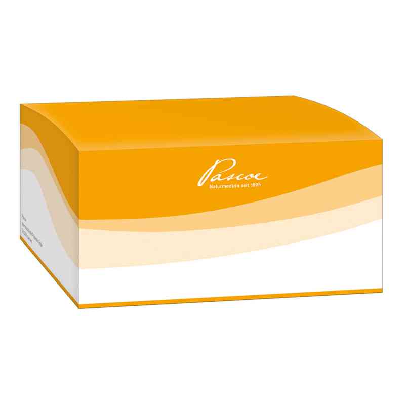 Vitamin B1 Injektopas 100 mg Injektionslösung 100X2 ml von Pascoe pharmazeutische Präparate GmbH PZN 03262479