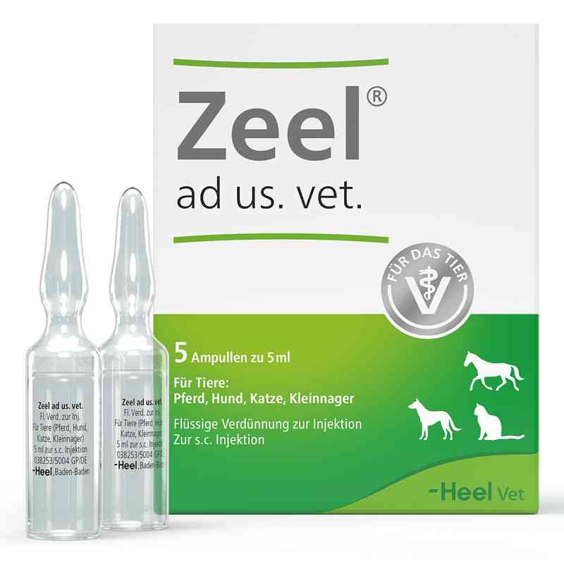 Zeel Ampullen veterinär 5X5 ml von Biologische Heilmittel Heel GmbH PZN 04827009