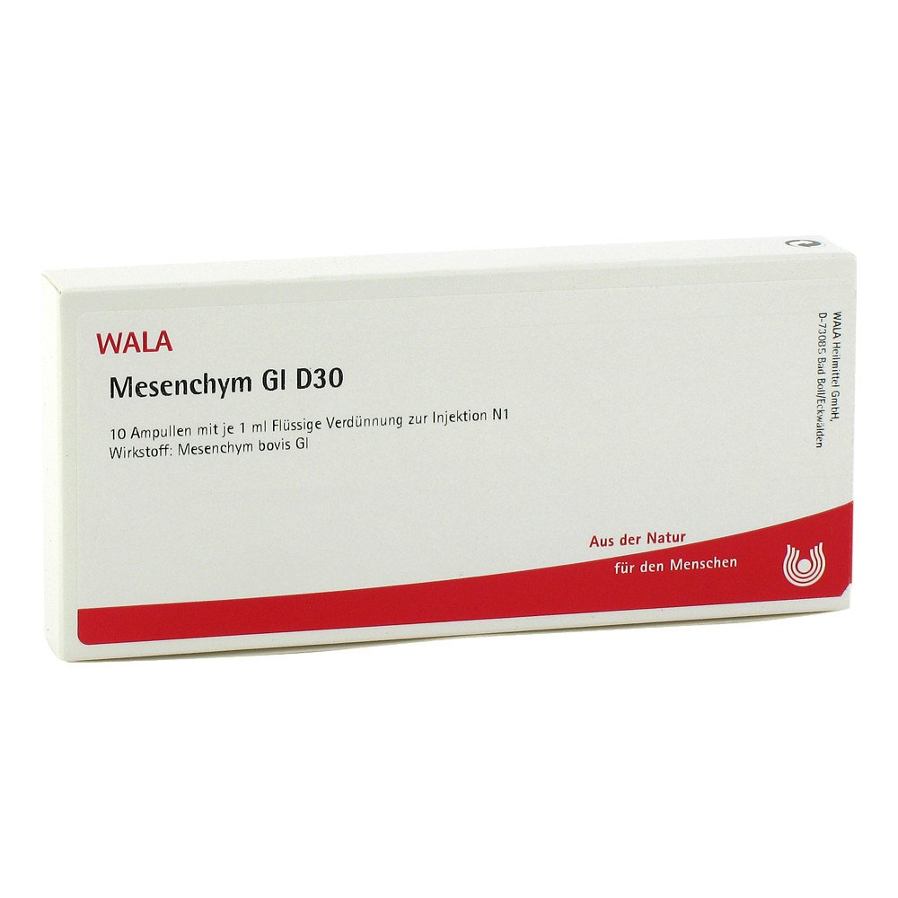 WALA Heilmittel GmbH Mesenchym Gl D30 Ampullen 03355577