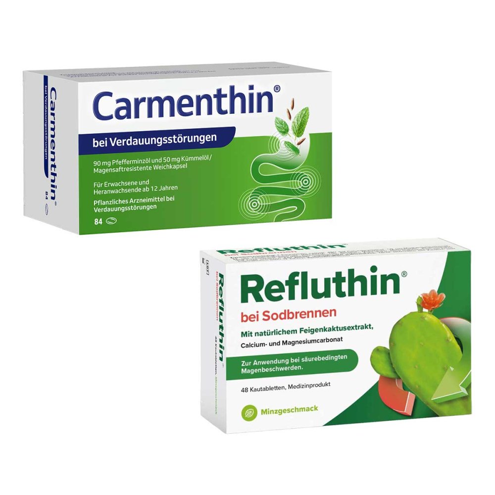 Dr.Willmar Schwabe GmbH & Co.KG Carmenthin und Refluthin Frucht 08105301