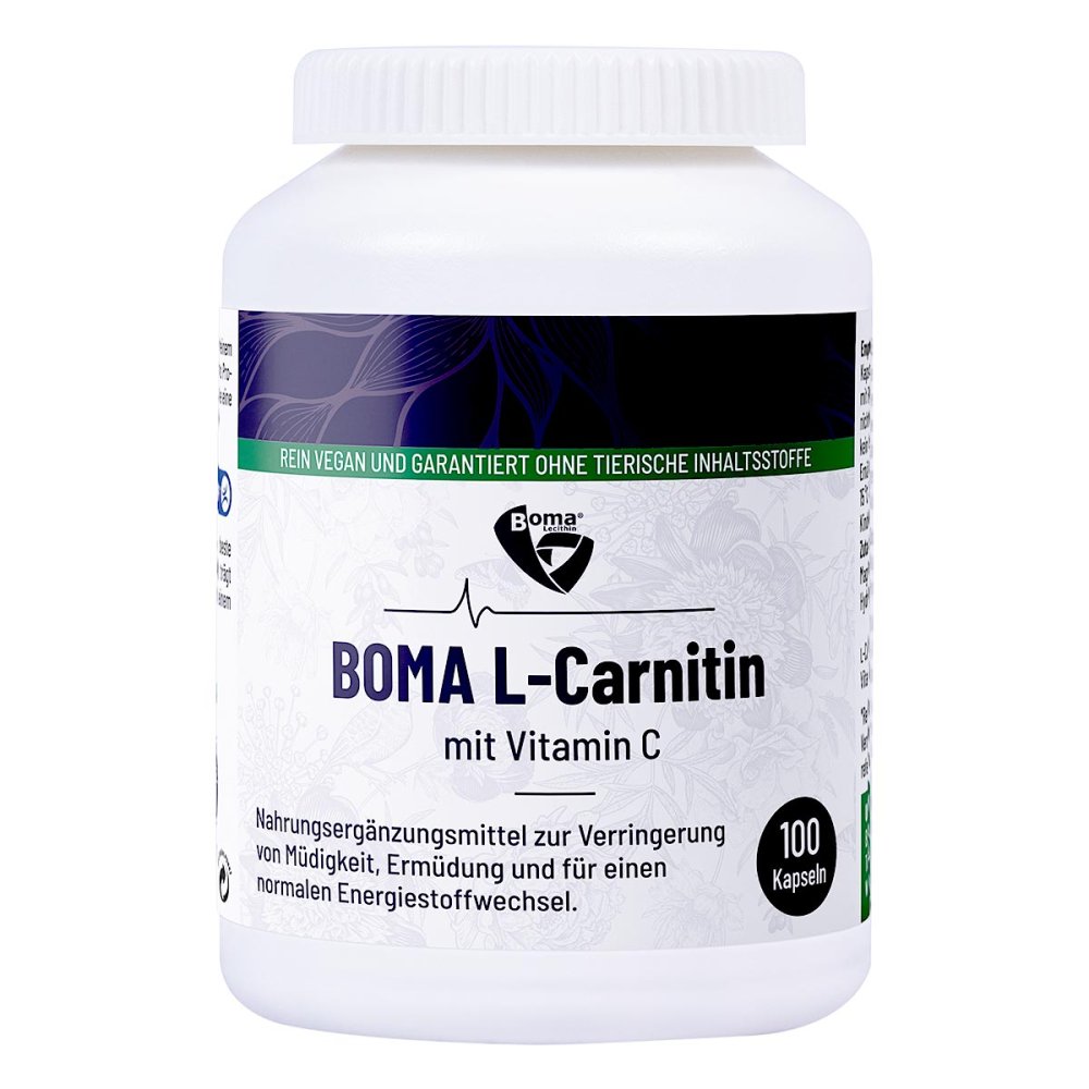 L-carnitin 500 Kapseln 100 stk online kaufen