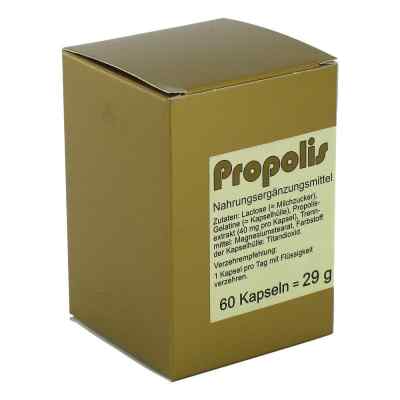 Propolis Kapseln bei apo-discounter.de bestellen