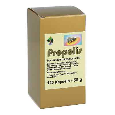 Propolis Kapseln bei apo-discounter.de bestellen