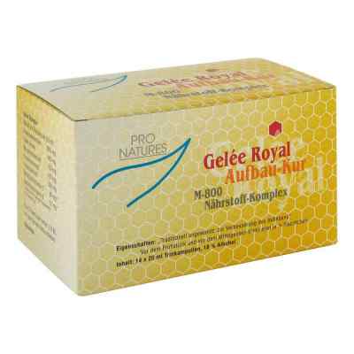 Gelee Royal Aufbaukur M800 Trinkampullen bei apo-discounter.de bestellen