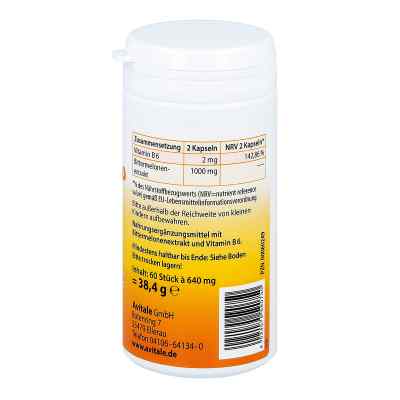 Bittermelone Kapseln 500 mg bei apo-discounter.de bestellen