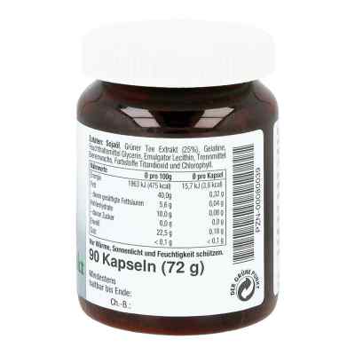 Grüner Tee Extrakt amerigo 200 mg Kapseln bei apo-discounter.de bestellen