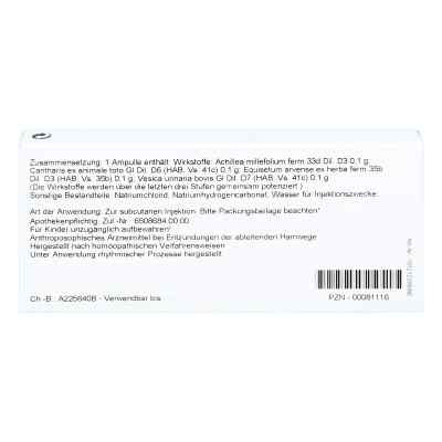 Cantharis Blasen Inject Ampullen bei apo-discounter.de bestellen