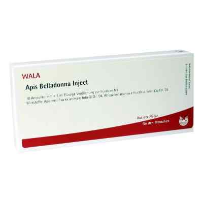 Apis Belladonna Inject Ampullen bei apo-discounter.de bestellen