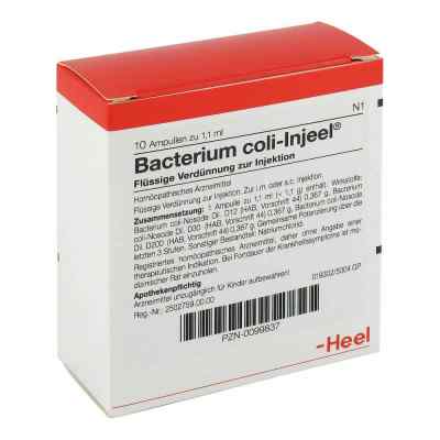 Bacterium coli Injeel Ampullen bei apo-discounter.de bestellen