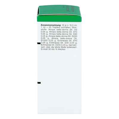 Belladonna Homaccord Tropfen bei apo-discounter.de bestellen