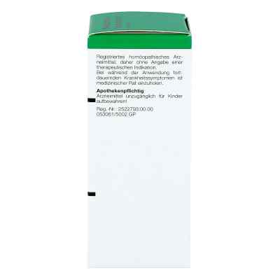 Belladonna Homaccord Tropfen bei apo-discounter.de bestellen