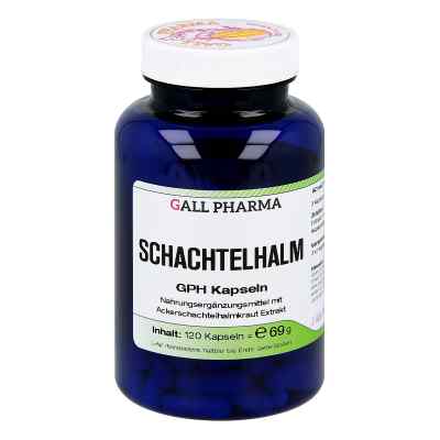 Schachtelhalm Kapseln bei apo-discounter.de bestellen