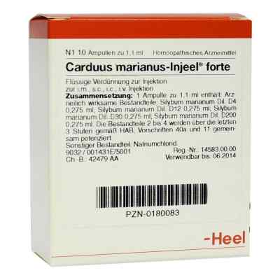 Carduus Marianus Injeel forte Ampullen bei apo-discounter.de bestellen
