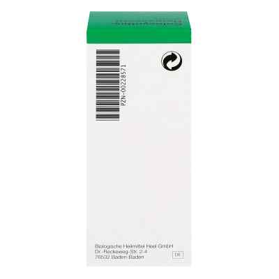 Colocynthis Homaccord Tropfen bei apo-discounter.de bestellen
