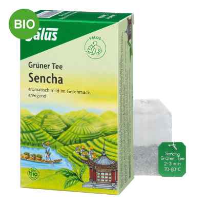 Grüner Tee bio Salus Filterbeutel bei apo-discounter.de bestellen