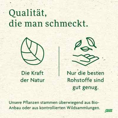 Grüner Tee bio Salus Filterbeutel bei apo-discounter.de bestellen