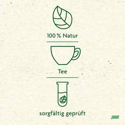 Grüner Tee bio Salus Filterbeutel bei apo-discounter.de bestellen