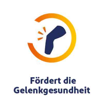 Voltaflex Glucosaminhydrochlorid 750mg mit Glucosamin bei apo-discounter.de bestellen