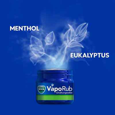 WICK VapoRub Erkältungssalbe bei apo-discounter.de bestellen