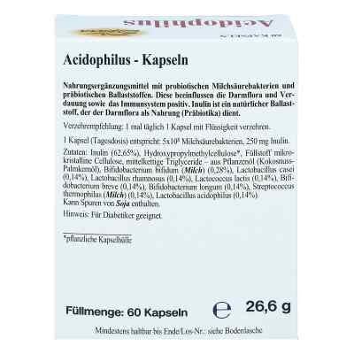 Acidophilus Kapseln bei apo-discounter.de bestellen