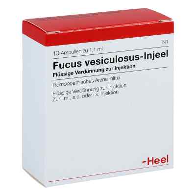 Fucus Vesiculosus Injeel Ampullen bei apo-discounter.de bestellen