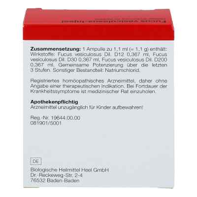 Fucus Vesiculosus Injeel Ampullen bei apo-discounter.de bestellen